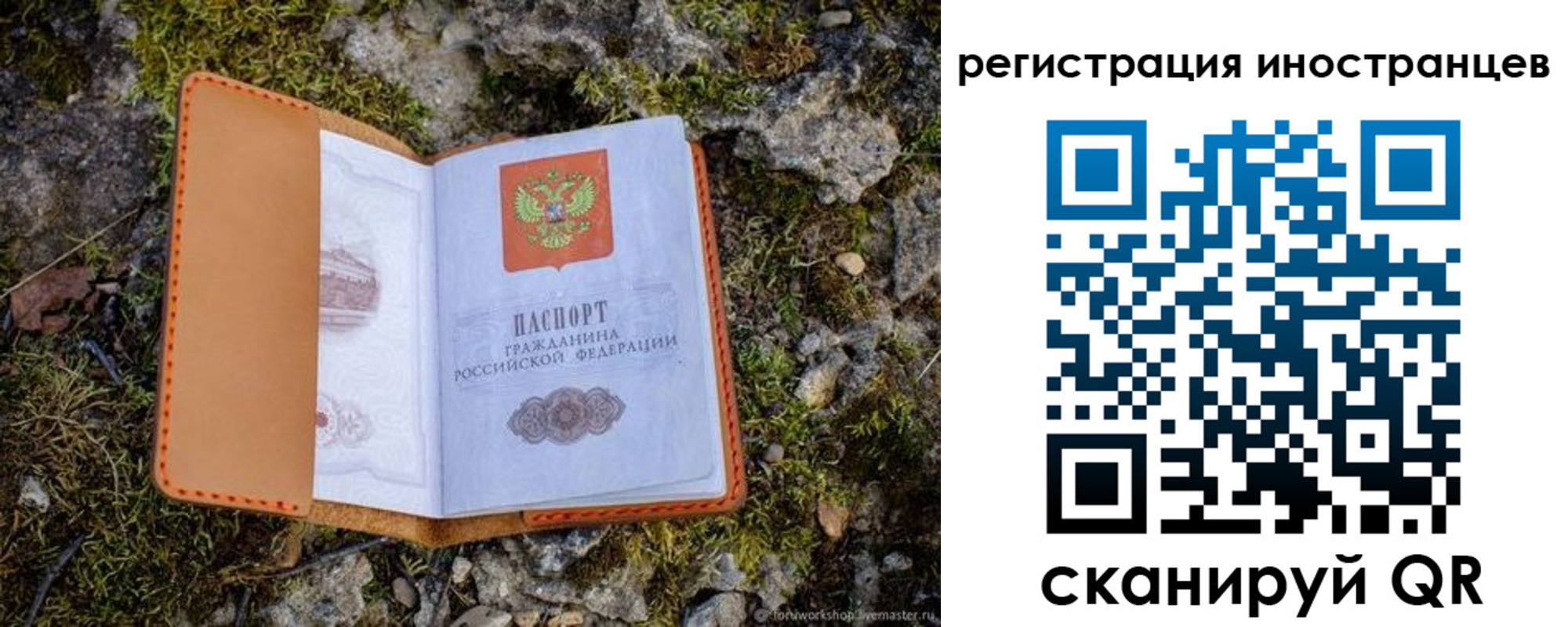 прописка паспорт в Касимове